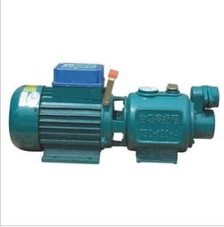 河北微型自吸水泵 井用潛水電泵 農業灌溉潛水泵 華光電機廠,河北微型自吸水泵 井用潛水電泵 農業灌溉潛水泵 華光電機廠生產廠家,河北微型自吸水泵 井用潛水電泵