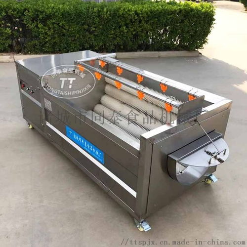 大姜生姜清洗機(jī),大姜清洗脫皮機(jī),生姜清洗脫皮機(jī) ,諸城市同泰食品機(jī)械廠