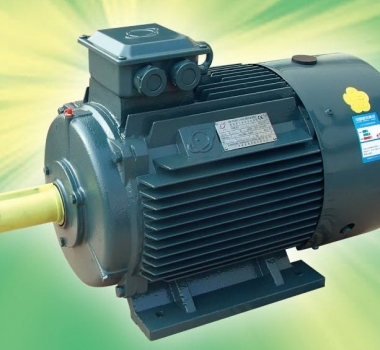東莞電機供應(yīng) 電動機效率與溫升問題的探討